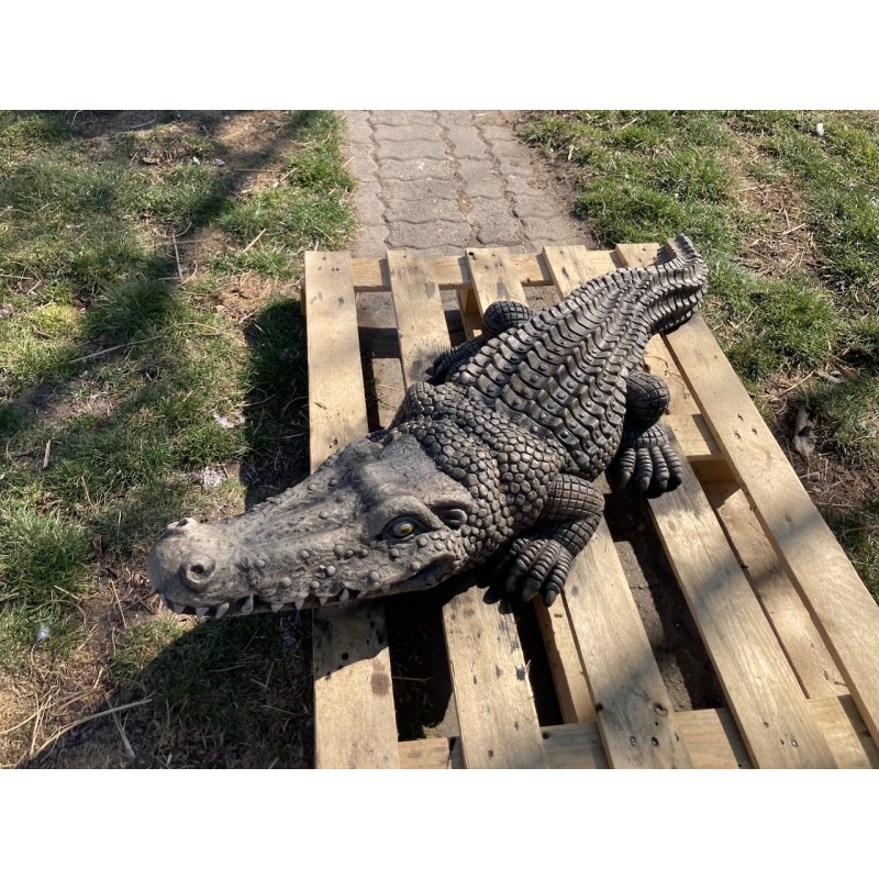 krokodýl zahradní