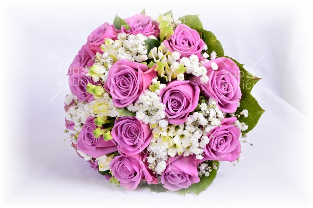Pinky rose