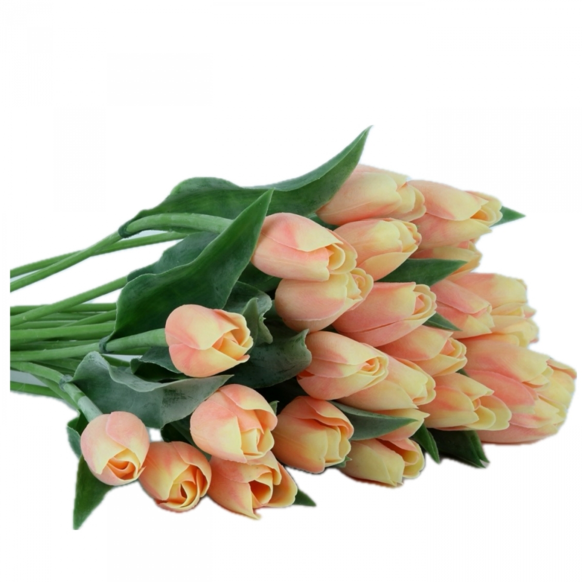 tulipány
