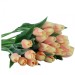 tulipány